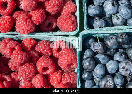 Blueberries and red raspberries for sale at Brooklyn's Grand Army Plaza farmers' market. Stock Photo