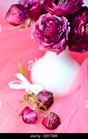 Ranunculus flowers in white vase on pink background Stock Photo