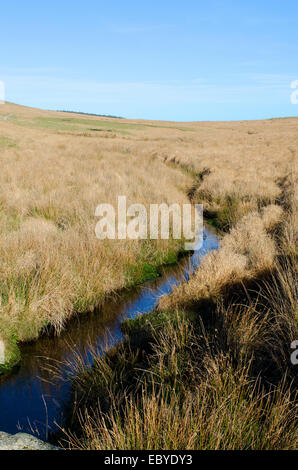 The De Lank river running through Bodmin Moor in Cornwall, UK Stock Photo