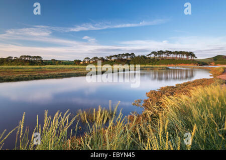 Otter Estuary at Budleigh Salterton, Devon, England. Summer (July) 2014. Stock Photo