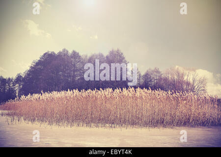 Vintage retro toned image of lake in winter. Stock Photo