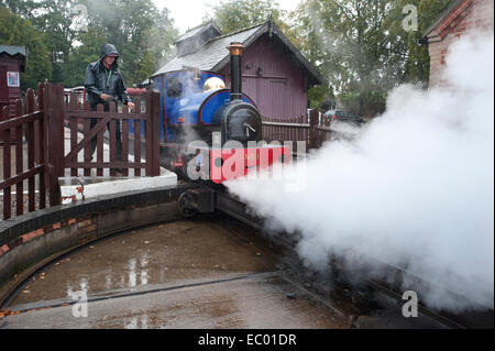 The Driver of Blue 10 and a 1/4 inch gauge Steam locomotive No 1 'Alan Bloom' uses his injectors as he moves his engine on the Garden Line onto theTurntable to turn for the return journey as his soaking wet guard secures the safety fence in the pouring rain. The Narrow Gauge engine, built in Bressingham in 1995, runs on one of 3 lines around Bressingham Steam Museum and Gardens at Diss, Norrfolk. The little engine is named after the gardens and museums founder and builder, the late Alan Bloom. Stock Photo