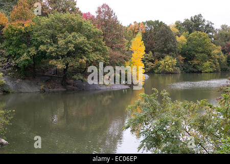 Lake lined with fall color trees in Central Park, New York. Stock Photo