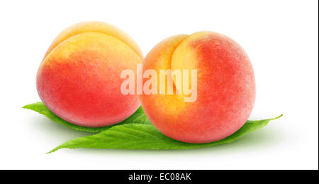 Two fresh peaches isolated on white Stock Photo