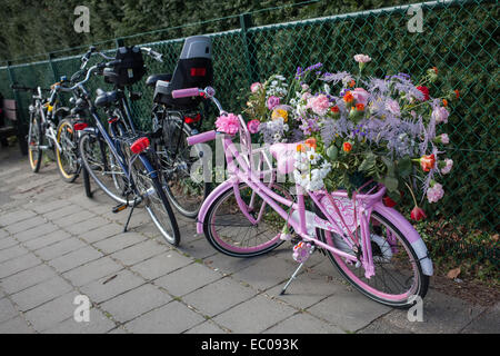 Lisse, Netherlands - April 20, 2013: Bicycle on flower parade. The annual Flower Parade in Holland between Noordwijk and Haarlem Stock Photo