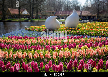 Lisse, Netherlands - April 20, 2013: Flowers in Keukenhof park, also known as the Garden of Europe, is the world's largest flowe Stock Photo