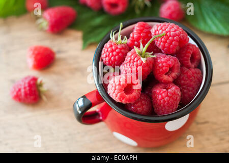 Raspberries in small mug. Thin depth of field Stock Photo