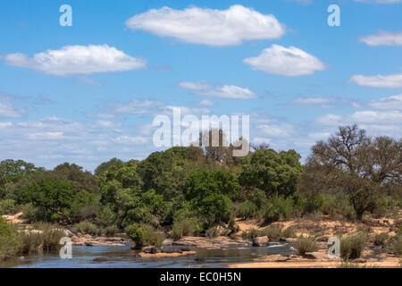 Sabie River, Kruger National Park Stock Photo