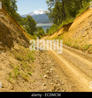 Nalcas National Park, Chile. The route to snowy volcano Lonquimay. Stock Photo