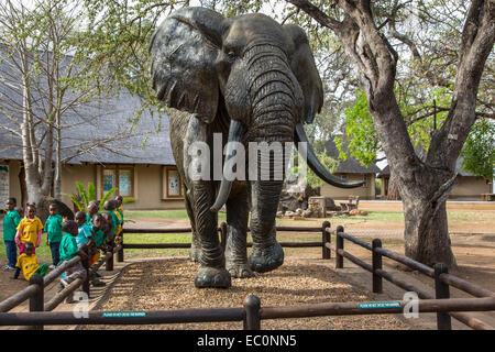 Elephant statue, Elephant museum, Letaba rest camp, Kruger national park, South Africa Stock Photo