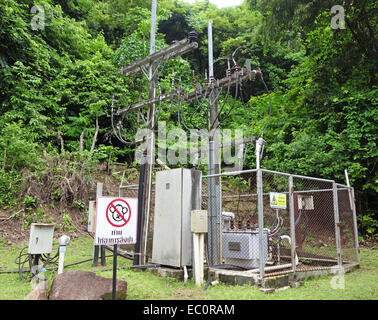 transformer vault at the forest Stock Photo