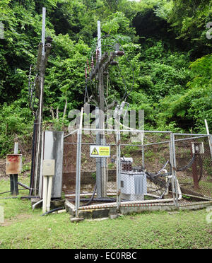 transformer vault at the forest Stock Photo