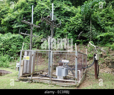 transformer vault at the forest Stock Photo