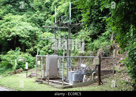 transformer vault at the forest Stock Photo