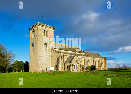 All Saints Church, Rudston, Humberside, East Yorkshire, England UK Stock Photo