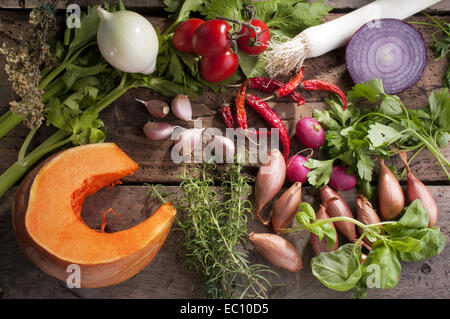 set of autumn flavors, for seasoning the soup Stock Photo