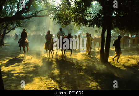 men at horses at the sonpur mela in india Stock Photo
