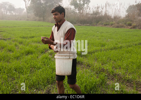 1 Indian Farmer Working in Farm Stock Photo