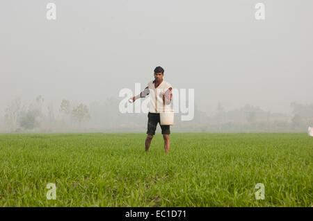 1 Indian Farmer Working in Farm Stock Photo