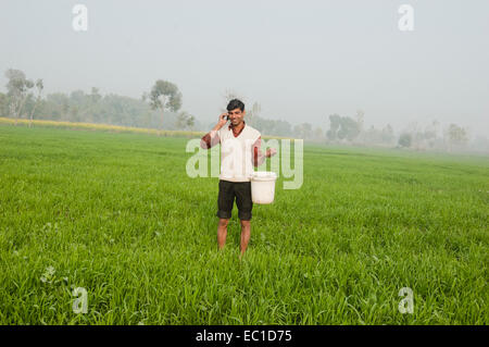 1 Indian Farmer Working in Farm and Talking with Mobile Stock Photo