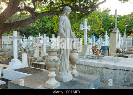 Dominikanische Republik, Santo Domingo, Plaza de la Indepedencia, Cementerio de la Avenida Stock Photo
