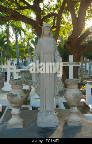 Dominikanische Republik, Santo Domingo, Plaza de la Indepedencia, Cementerio de la Avenida Stock Photo