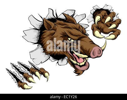 A scary boar animal mascot character breaking through wall with claws Stock Photo