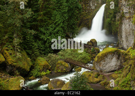 Wahclella Falls in the Columbia River Gorge, Portland, Oregon, United States Stock Photo