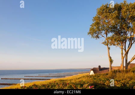 Thatched cottage in the dunes at the beach, Baltic Sea, Ahrenshoop, Fischland, Mecklenburg-Western Pomerania, Germany Stock Photo