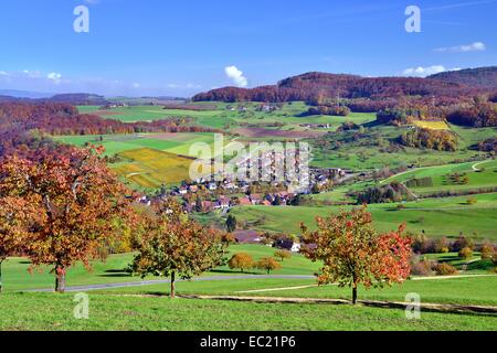 Autumn landscape, in front cherry trees in autumn colors, Wintersingen, Canton of Basel-Landschaft, Switzerland Stock Photo