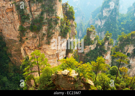 Avatar Mountains with vertical quartz-sandstone pillars, Zhangjiajie National Forest Park, Hunan Province, China Stock Photo