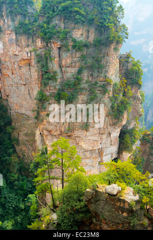 Avatar Mountains with vertical quartz-sandstone pillars, Zhangjiajie National Forest Park, Hunan Province, China Stock Photo