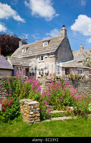 Cottages built of out the local Purbeck stone in Worth Matravers Dorset England UK Stock Photo