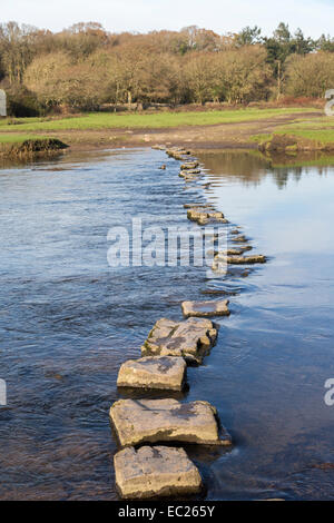Stepping stones across river at Ogmore Castle, Wales, UK Stock Photo