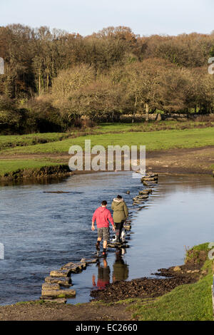 Two people crossing river using stepping stones at Ogmore Castle, Wales, UK Stock Photo