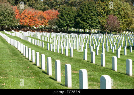 Arlington Cemetery, rows of white headstones Stock Photo