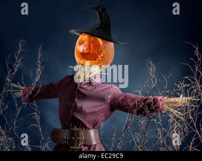 Halloween scarecrow with jack-o-lantern pumpkin head on dark blue background Stock Photo