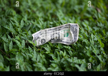 crumpled one dollar bill lying on grass Stock Photo