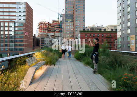 https://l450v.alamy.com/450v/ec33w0/the-high-line-new-york-united-states-architect-diller-scofidio-renfro-ec33w0.jpg