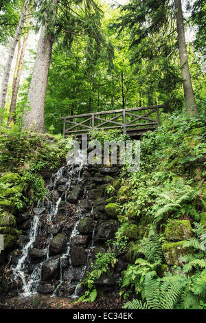 Wooden bridge and waterfall with fern plants in european forest. Natural theme. Stock Photo