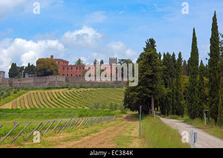 Ricasoli Vineyard, Chianti, Castello di Brolio, Brolio Castle, Siena Province, Tuscany, Italy, Europe Stock Photo