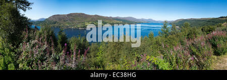 Panorama, landscape at Loch Carron, Scotland, United Kingdom Stock Photo
