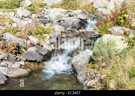 River Water in Forest, Rocky River Side Stock Photo - Image of grass,  scenery: 165302448