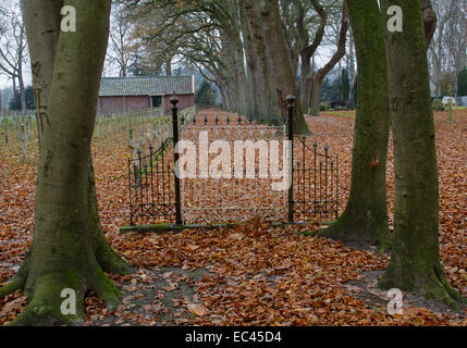 Forged iron gate of a cemetery between Beeches in autumn Stock Photo