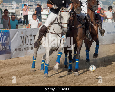 ALGECIRAS SPAIN -JULY 18 2014 First international beach polo tournament in Algeciras.Argentina versus England.Players fighting Stock Photo