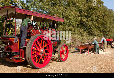 A steam traction engine powering a saw bench Stock Photo