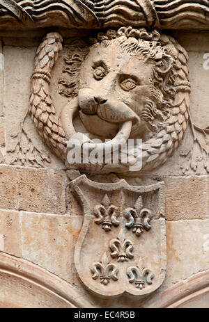 Casa de las Conchas Salamanca ( public library )   Salamanca town ( Castile and Leon ) Spain Spanish ( House of the Seashells ) Stock Photo