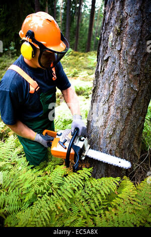 a woodcutter at work in the forest Stock Photo - Alamy