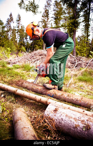 a woodcutter at work in the forest Stock Photo - Alamy