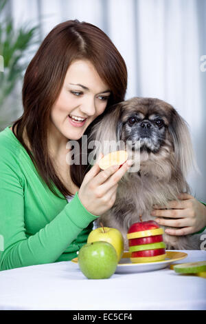 young girl with a pekingese dog Stock Photo
